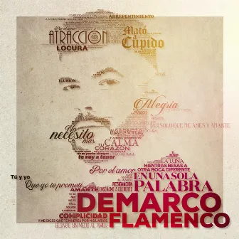 En una sola palabra by Demarco Flamenco