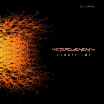 Endorphins by Heterogenesis