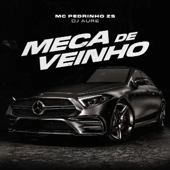 Meca de Veinho by Mc Pedrinho Zs