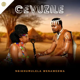 Ngikhumulela Wenawedwa by Cevuzile