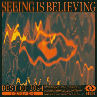 Seeing Is Believing: Best of 2024 by Seeing is Believing