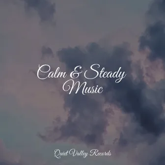 Calm & Steady Music by Relaxation Sleep Meditation