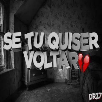 Se Tu Quiser Voltar by drz7