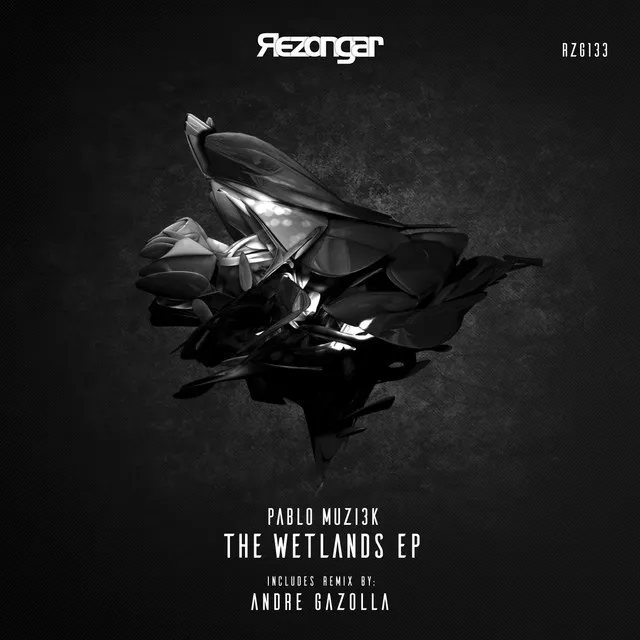 The Wetlands - Andre Gazolla Remix