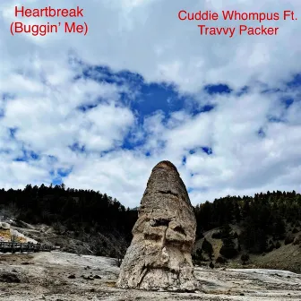 Heartbreak (Buggin' Me) by Cuddie Whompus