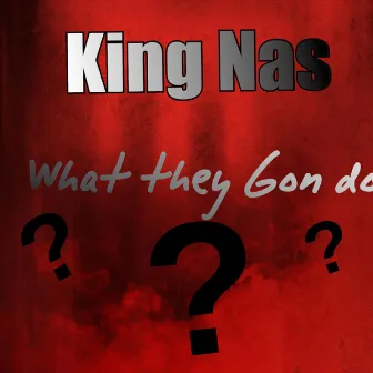 What They Gon Do by King Nas