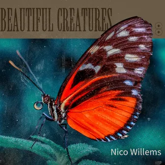 Beautiful Creatures by Nico Willems