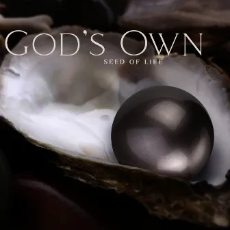 God’s Own: Seed of Life, Pineal Gland Activation by Margo Stones