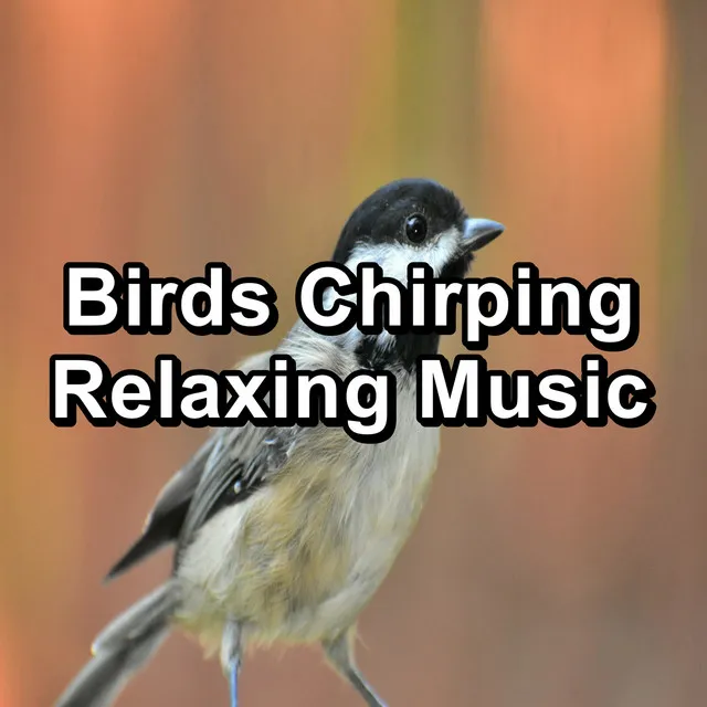 Nature Bird Sounds