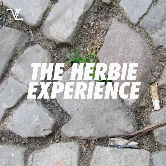 The Herbie Experience by Herbie