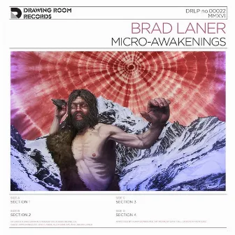 Micro-Awakenings by Brad Laner