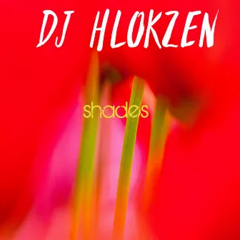 Shades by DJ Hlokzen