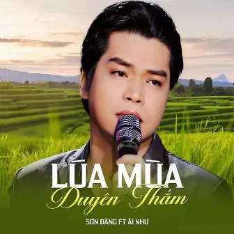 Lúa Mùa Duyên Thắm (feat. Ái Như) by Sơn Đăng