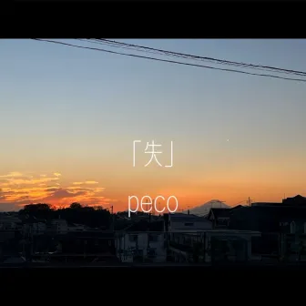 shitu by Peco