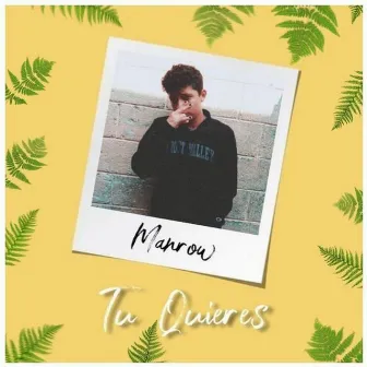 Tu Quieres by Manrow