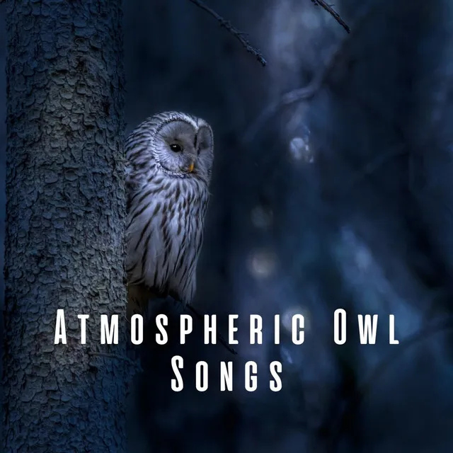 Atmospheric Owl Songs