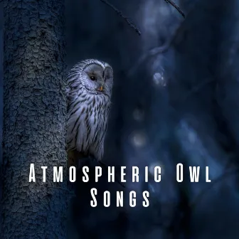 Atmospheric Owl Songs by Neightbirds