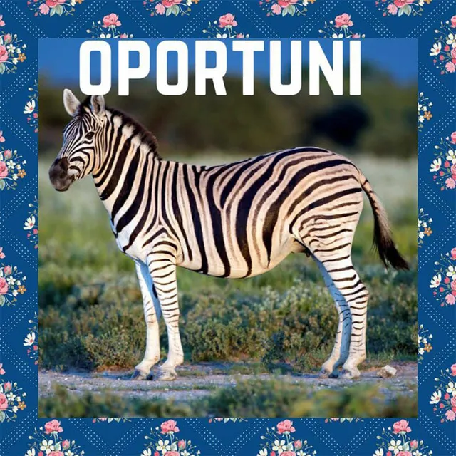 Oportuni