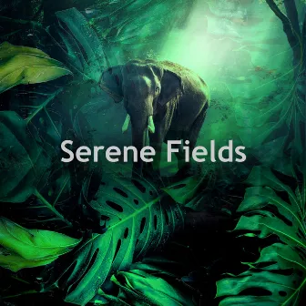 Serene Fields by Nature Scenario Sounds