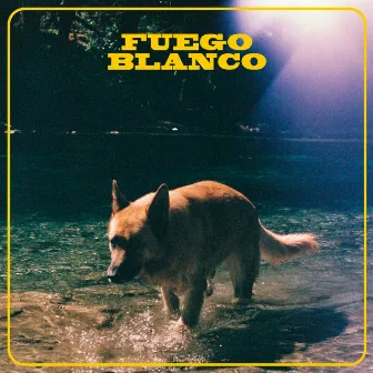 Fuego Blanco by Katya Ninja