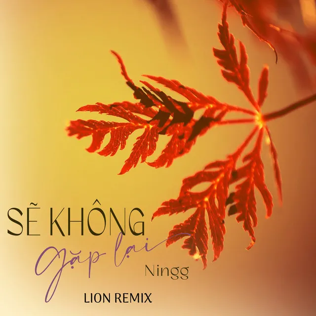 Sẽ Không Gặp Lại - Lion Remix