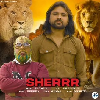 Sherrr by Amit Baisla