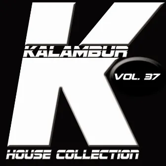 Kalambur House Collection, Vol. 37 by Dandy