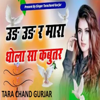 Ud Ud Re Mara Dhola Sa Kabutar by Tara Chand Gurjar