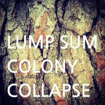 Colony Collapse by Lump Sum