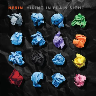 Hiding In Plain Sight by Herin