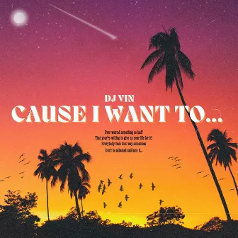 CAUSE I WANT TO... by Dj Vin