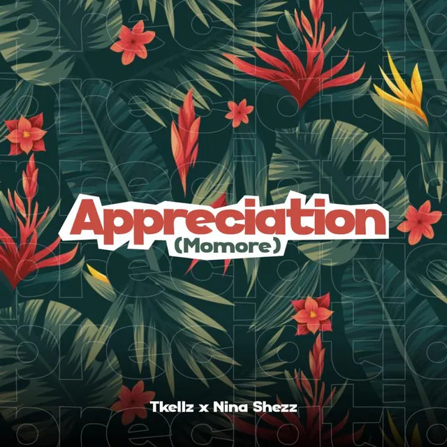 Appreciation (Momore)