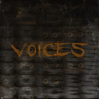 Voices by Berra