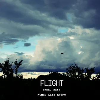 Flight (Nsmc6 Late Entry) by Mike C