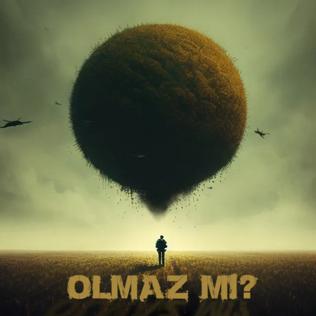 Olmaz Mı?