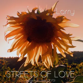 Streets of Love by Larry