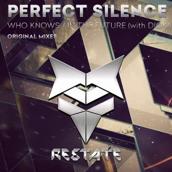 Who Knows / In The Future by Perfect Silence