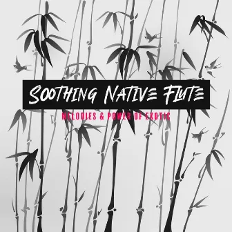 Soothing Native Flute Melodies & Power of Exotic by American Flute