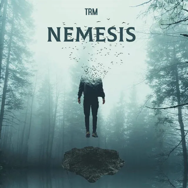 NEMESIS