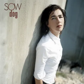 Dog by SOW