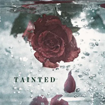 Tainted by Allegra Miles