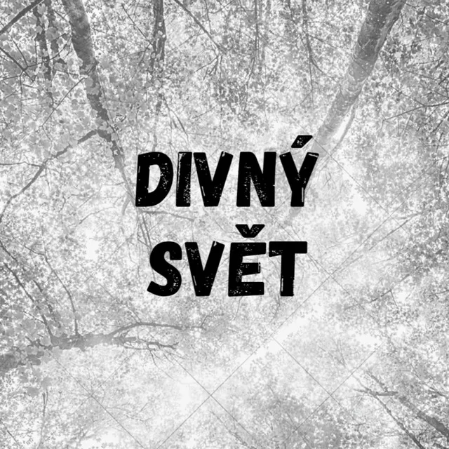 Divný svět