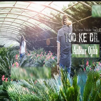 Tod Ke Dil by Ankur Ojha