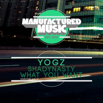 Shady Nasty + What You Want by YOGZ