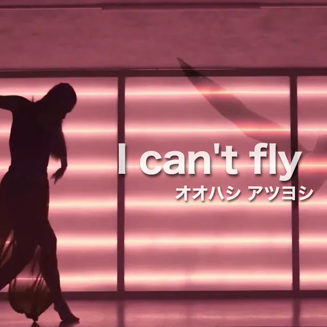 I can't fly