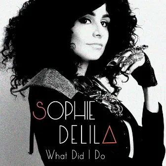 What Did I Do by Sophie Delila