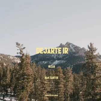 Dejarte Ir (Radio Edit) by SE7AR