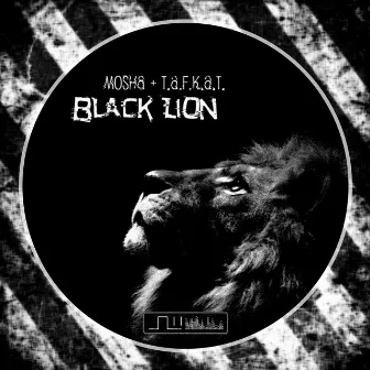 Black Lion by Unknown Artist