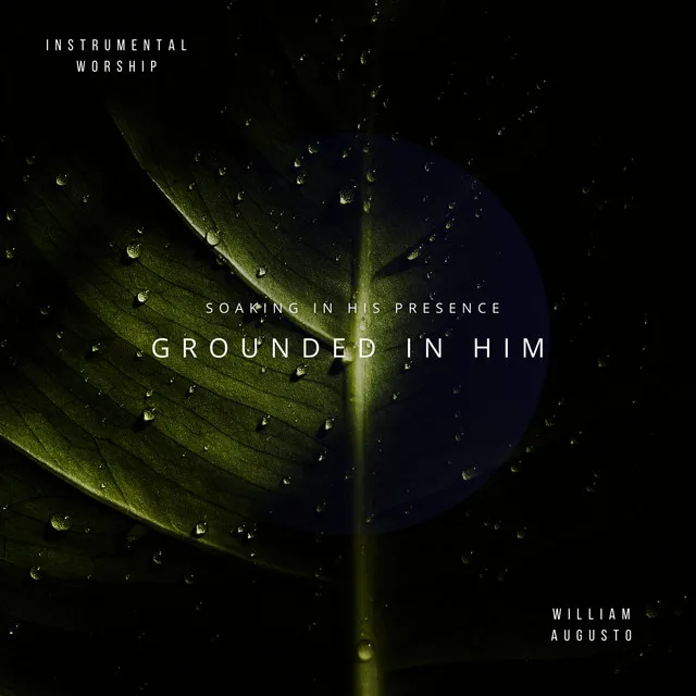 Grounded in Him