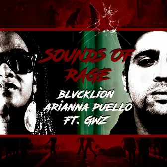 Sounds of Rage by Arianna Puello